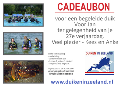 cadeaubon begeleide introductie duik duikschool zeeland