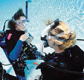 duikcursus introductieduik begeleie duik Duikschool Zeeland